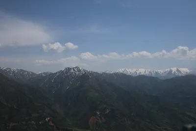 Нижний ярус, district de Bostanliq