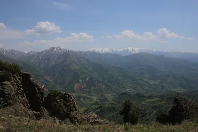 2290, district de Bostanliq