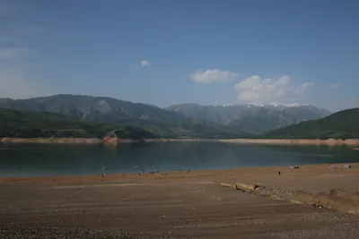 Chorvoq oromgohi, Novobod